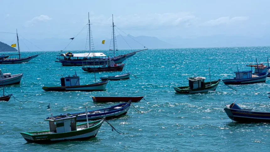 Como escolher praias de Búzios para uma viagem entre amigos? 1 lpi foto 20261020 144833 NFdoLe