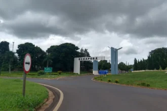 lpi foto 20261021 122435 i2bVGt