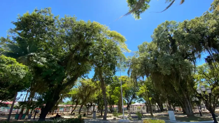 Lugares pra ir em Silva Jardim (Rio de Janeiro/RJ) 1 lpi foto 20261021 221536 5M2CaY