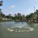 lpi foto 20261023 113509 M6nWVa