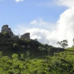 lpi foto 20261027 123700 hNqCjk