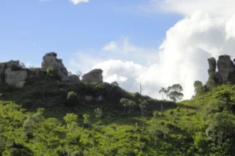 lpi foto 20261027 123700 hNqCjk