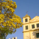 lpi foto 20261029 113622 pCfNef